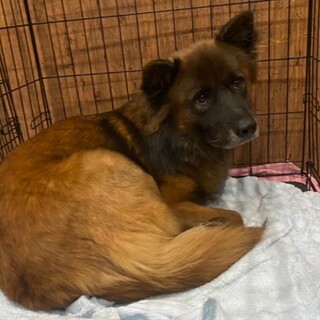 イケメンたまき