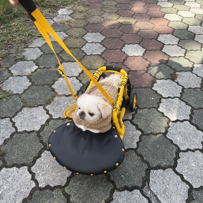 ちおーなのカバー写真