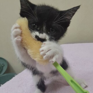 靴下履いてるおしゃれガール約1カ月半