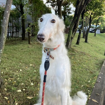 25年11月6日撮影の写真です。