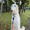 25年11月6日撮影の写真です。