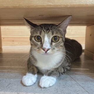 おやつ大好き！