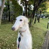 の写真