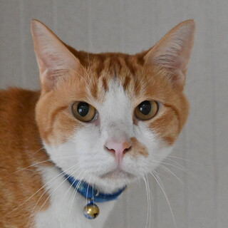 タイチ：誰とでも仲良し！穏やかな好男子