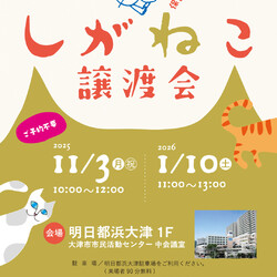 しがねこ譲渡会