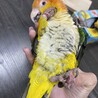 の写真