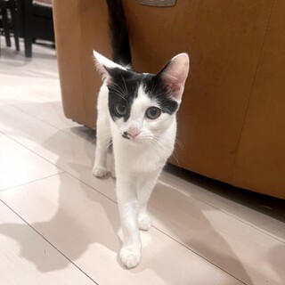 甘えん坊でちょっぴり怖がりな女の子！！