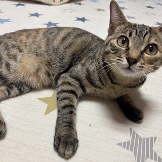 トトロ三兄弟！めいちゃん♪