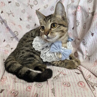 瀕死の状態を乗り越えて♡センくん♡