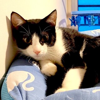 11/9,16駒込　イケメン❤️孝太郎くん