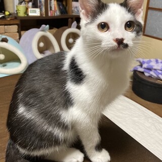 お外で一生懸命に生きていたひかりくん⭐️