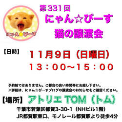 譲渡会 にゃん☆ぴーす猫の譲渡会【都賀･アトリエTOM】