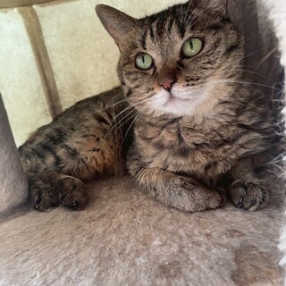 まるがお可愛い桜子ちゃん