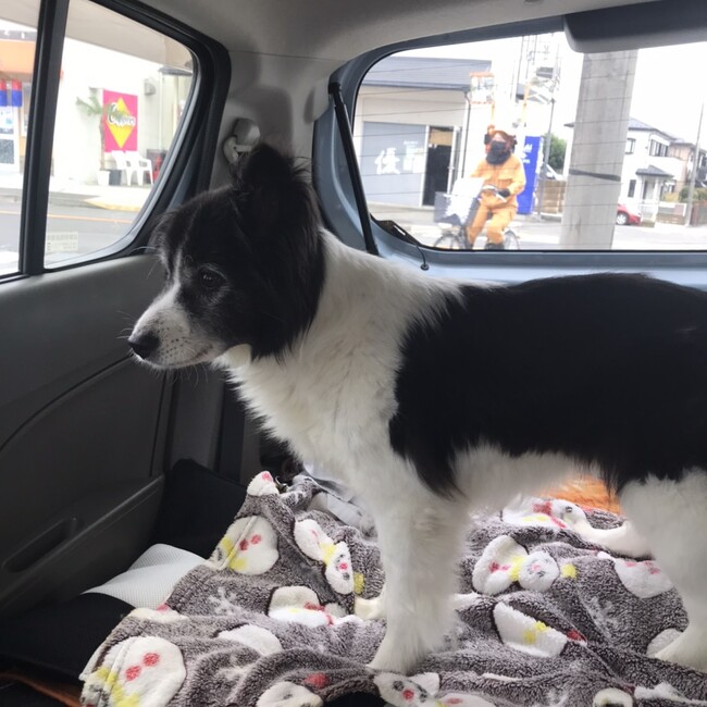 kunotoraのカバー写真