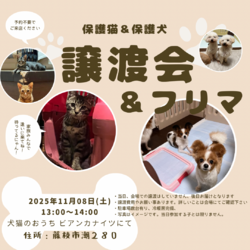 保護猫＆保護犬の譲渡会