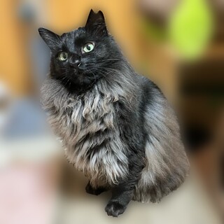 知性と美貌の完璧コンビ