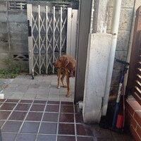 少し怖がりな男の子ラブ