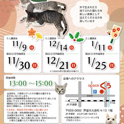 【毎月第2日曜】ミニ譲渡会＠JR芦屋駅から徒歩3分