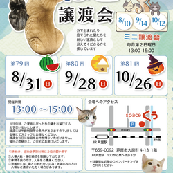 ねこの譲渡会＠JR芦屋駅から徒歩3分