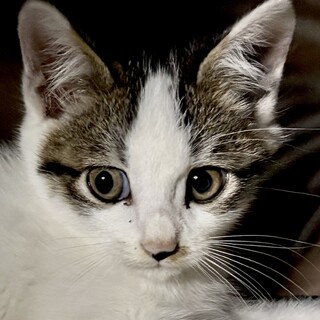 赤坂サカスで待ってます❤️　ユウタロウ　2ヶ月