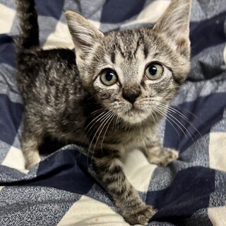 赤坂サカスで待ってます❤️　ペコ　2ヶ月