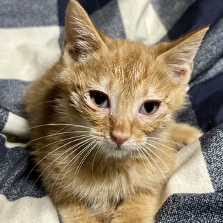 赤坂サカスで待ってます❤️　ちん平　2ヶ月