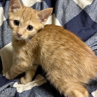 赤坂サカスで待ってます❤️　エリー　2ヶ月