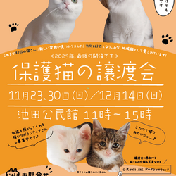 NECOAS 保護猫譲渡会 静岡市駿河区