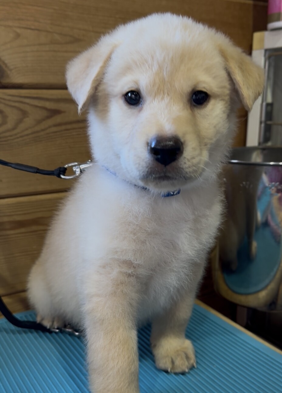 募集者多数のため 一旦停止します サムネイル2