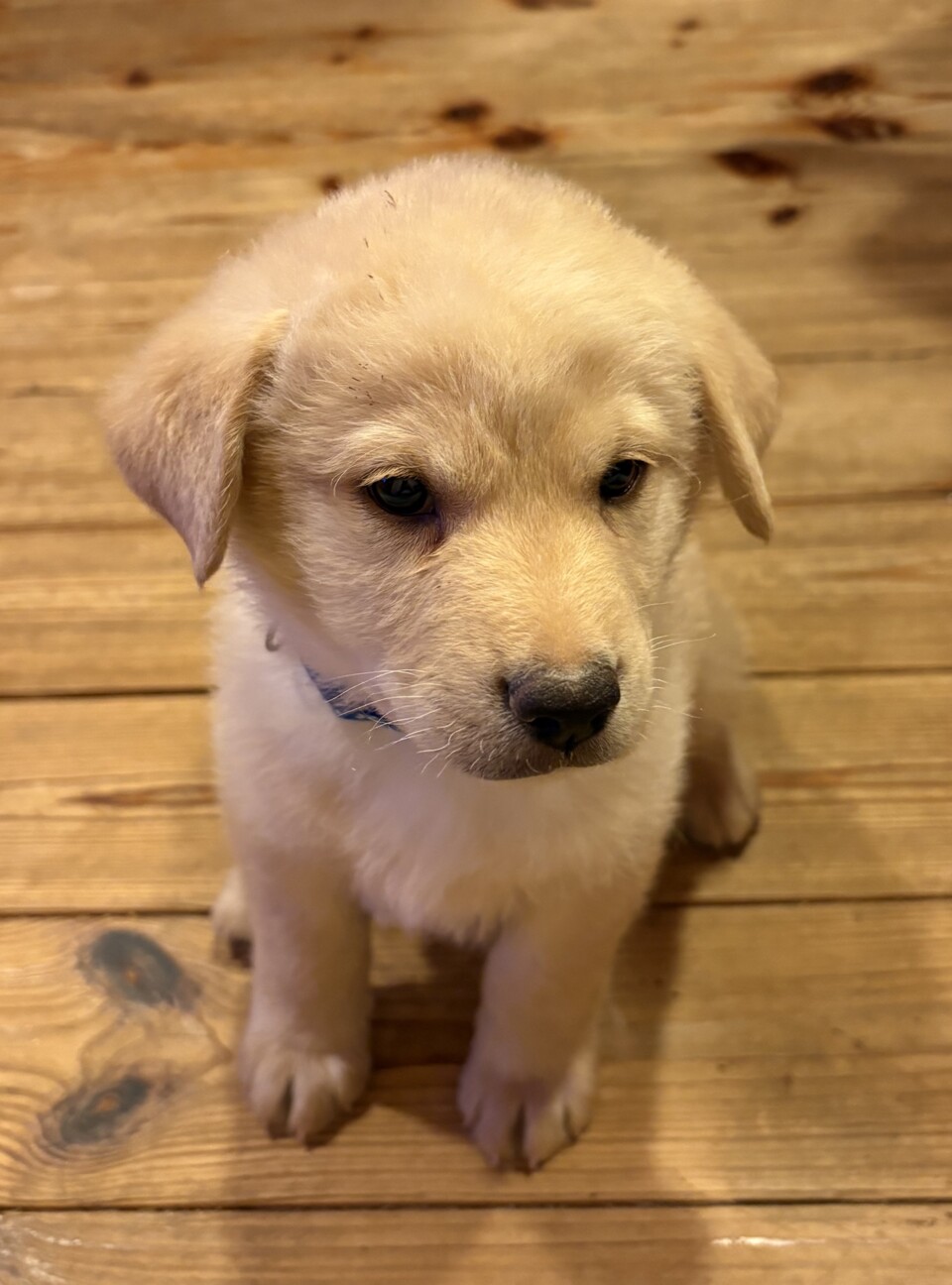 募集者多数のため 一旦停止します サムネイル3