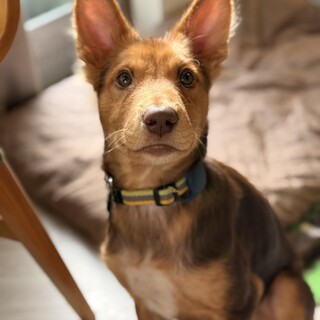 ぐんぐん成長中な八朔くん