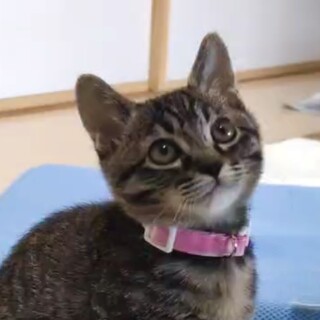 小柄で丸顔キュートな女子❤️まさこ