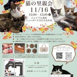 猫の里親会　inジョイフル本田ひたちなか店