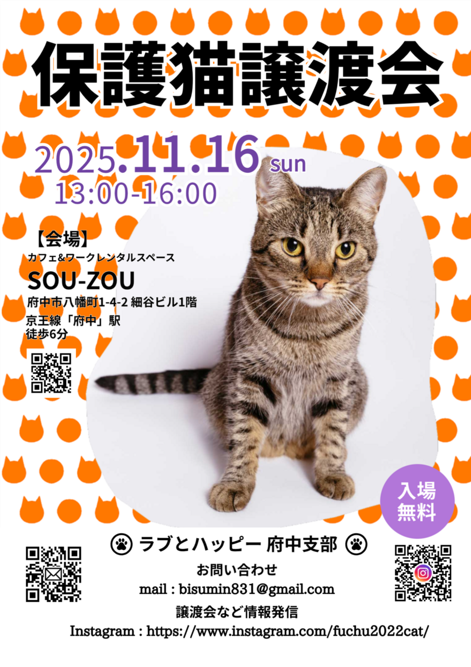 みつびし♀一人で頑張った三毛猫4ヵ月半 サムネイル7