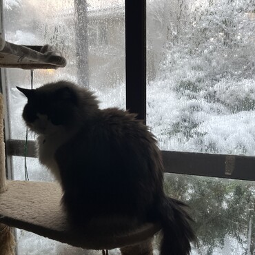 油断してたら朝、雪が積もってました！