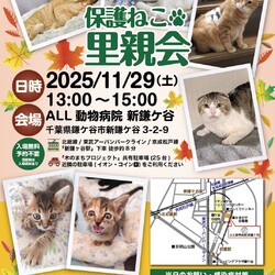 鎌ケ谷開催！保護ねこ里親会 サムネイル1