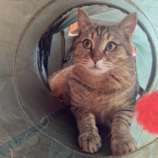 ゴロゴロ美男子♡つくしくん