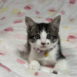 穏やかな兄妹たち・玲亜（れあ）ちゃん