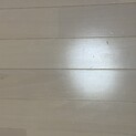 【募集終了】ハリネズミの里親募集