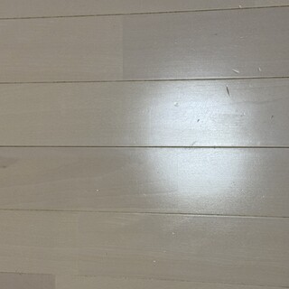 【募集終了】ハリネズミの里親募集