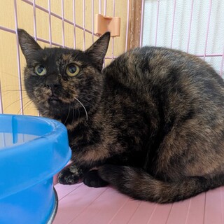 急募！12日（水）寒い外にリリースする女の子です