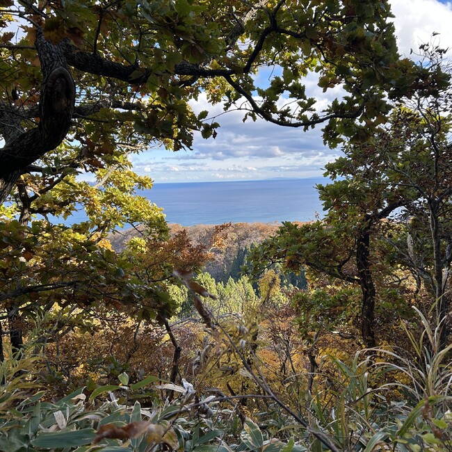 海鮮丼あじゃ♡のカバー写真