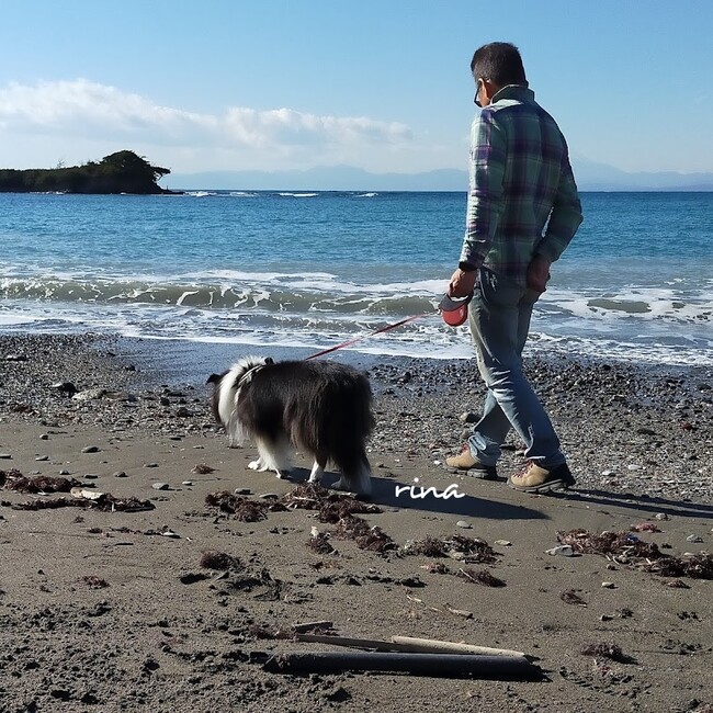 キナリ2006のカバー写真