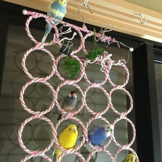 暖かい家族が里親さんになって頂きました！