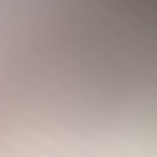 【急募!!!】2ヶ月雑種の男の子