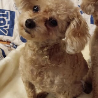 とても人懐っこく甘えん坊な男の子です。