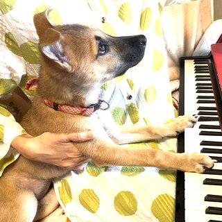 モ・デールちゃん♡3ヶ月