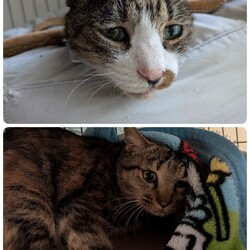 ［むぎちゃん］［もなか君］の医療について