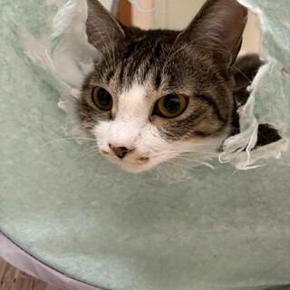 添い寝大好き！！ノンちゃん