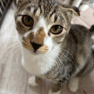 探検好きなエナくん